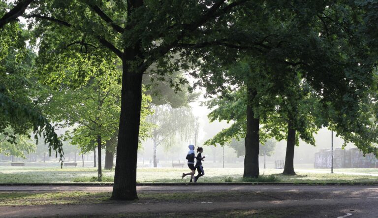 How to Create a Daily Routine After Leaving the Military